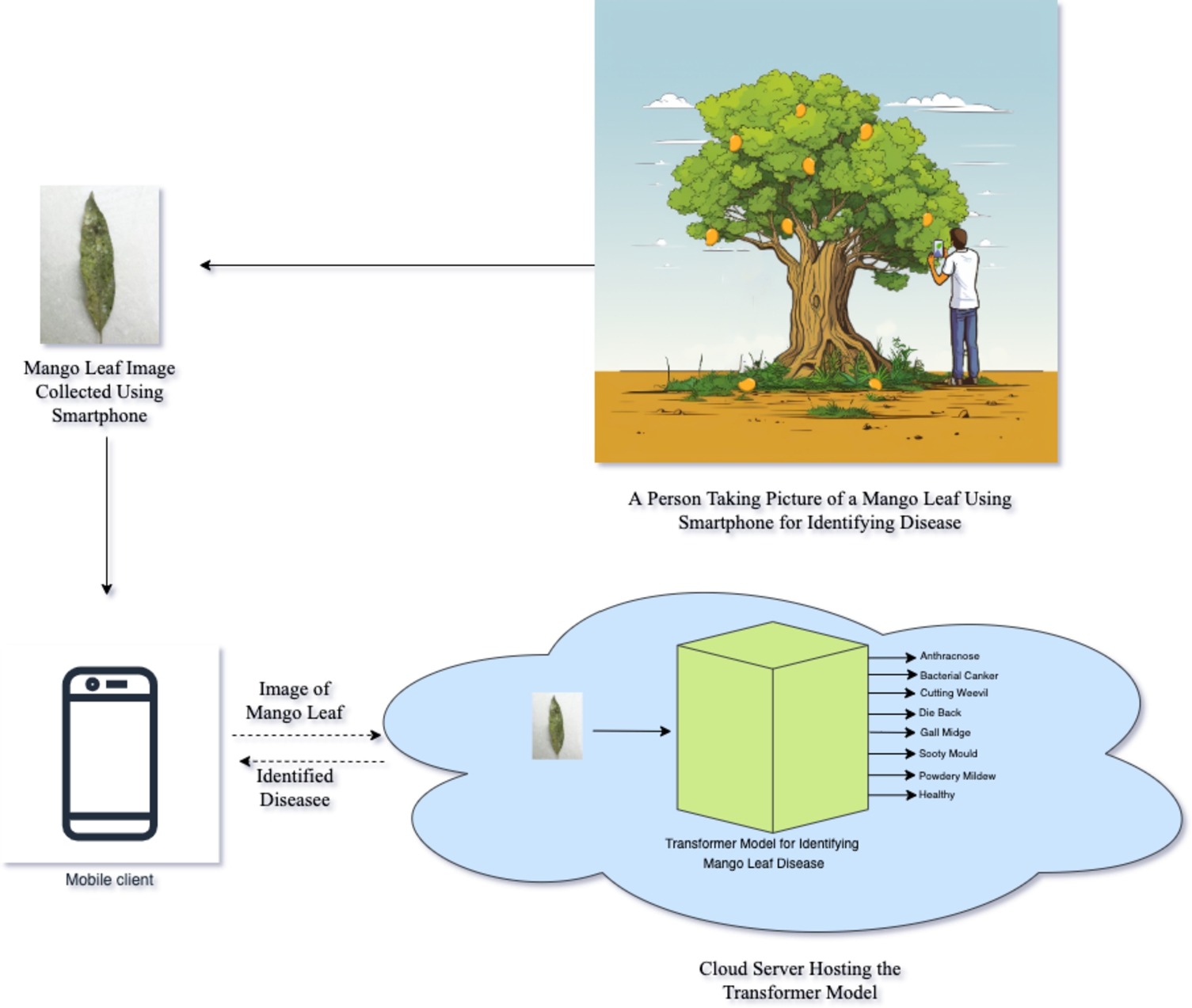 Deep Learning for Mango Leaf Disease Identification: A Vision Transformer Perspective